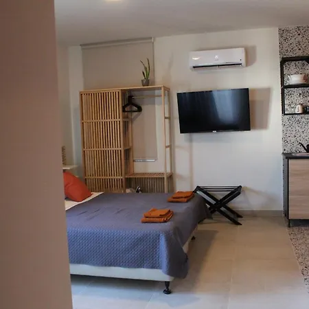 호텔 Kleio 아이아 나파